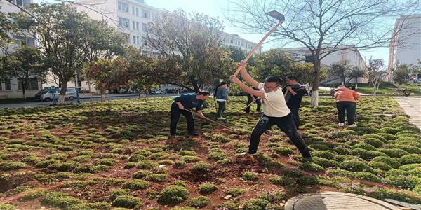 后勤基建处党总支第一、第二支部联合开展“贡献力量，奉献绿色”3月主题党日植树活动
